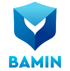 bamin-network